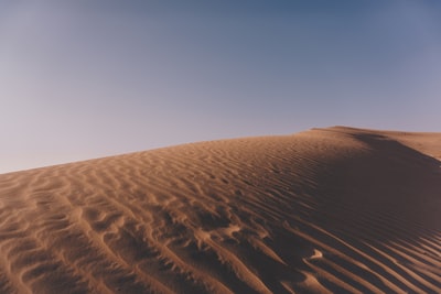 沙漠
